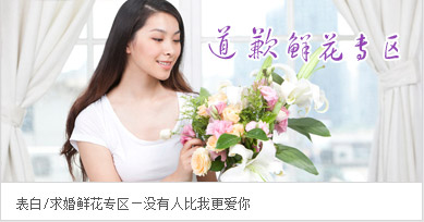 道歉鲜花专区